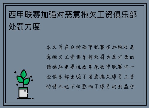 西甲联赛加强对恶意拖欠工资俱乐部处罚力度