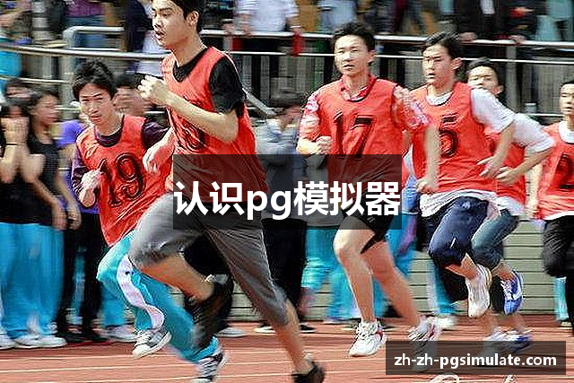 认识pg模拟器